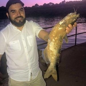 Meet your Posher, Mauricio